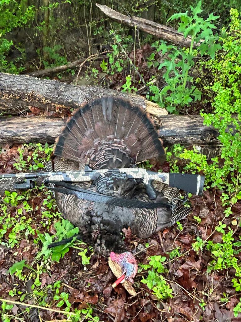 A Guided Turkey Hunt Photo 007